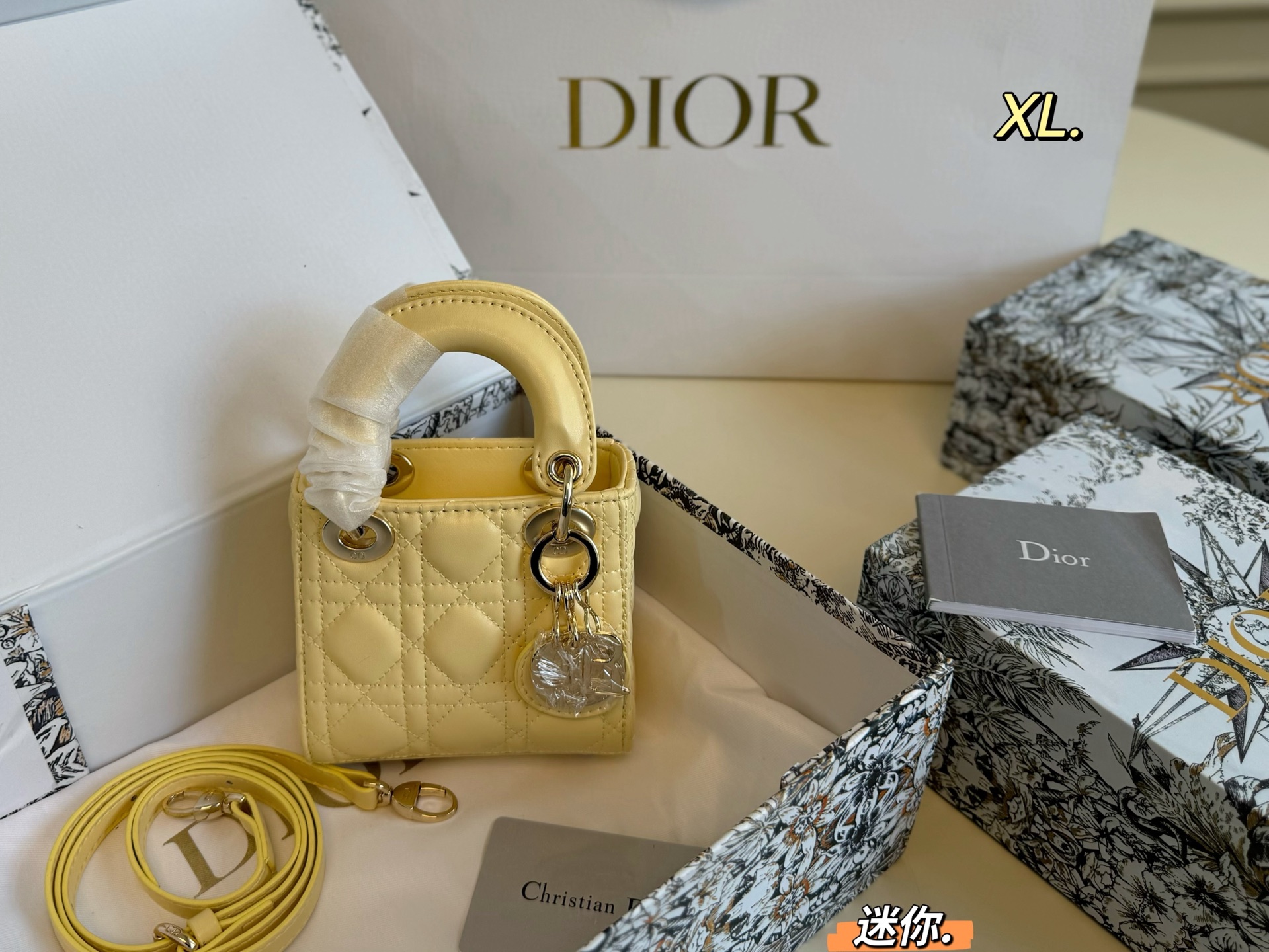 DIOR bag 12